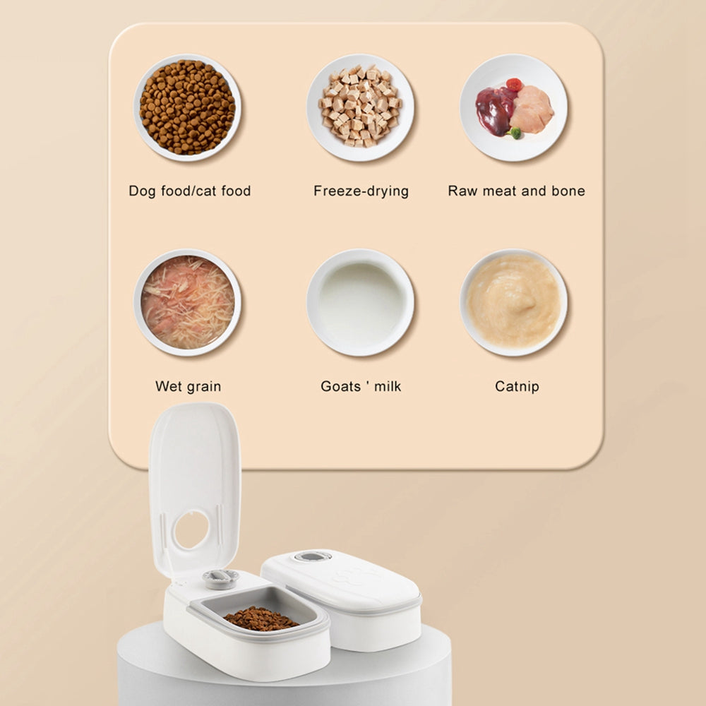 CalmFeast Feeder – Peace, Routine & Care Without the Fuss