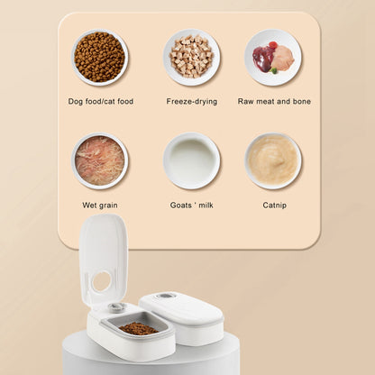 CalmFeast Feeder – Peace, Routine & Care Without the Fuss