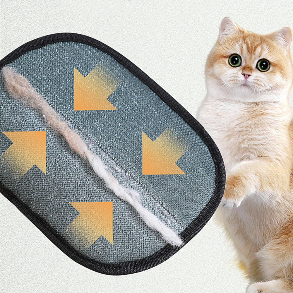 Gentle Clean Pet Glove – Where Grooming and Cleaning Come Together