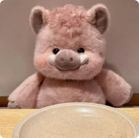 Taro the Pig