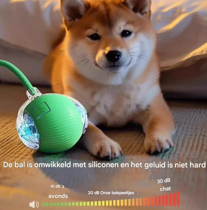 Interactive Smart Pet Ball for Cats & Dogs