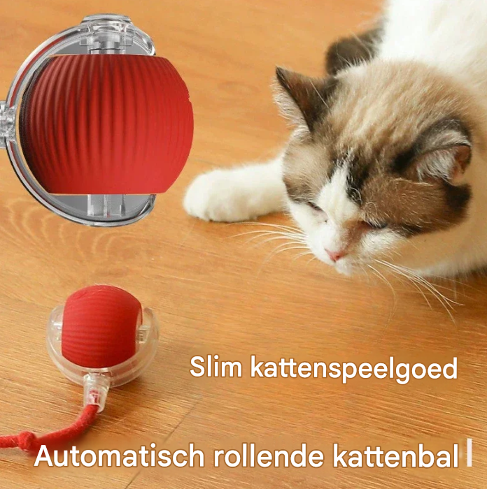 Interactive Smart Pet Ball for Cats & Dogs