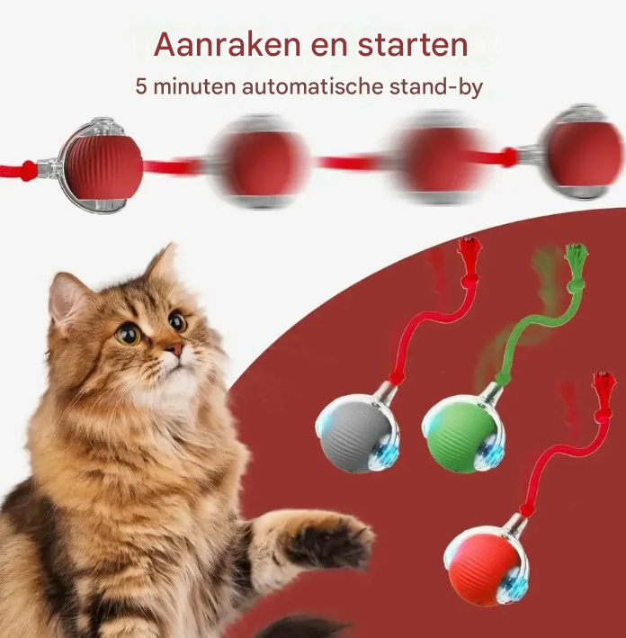 Interactive Smart Pet Ball for Cats & Dogs